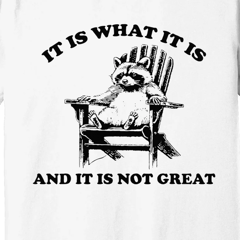 Raccoon It Is What It Is And It Is Not Great Premium T-Shirt