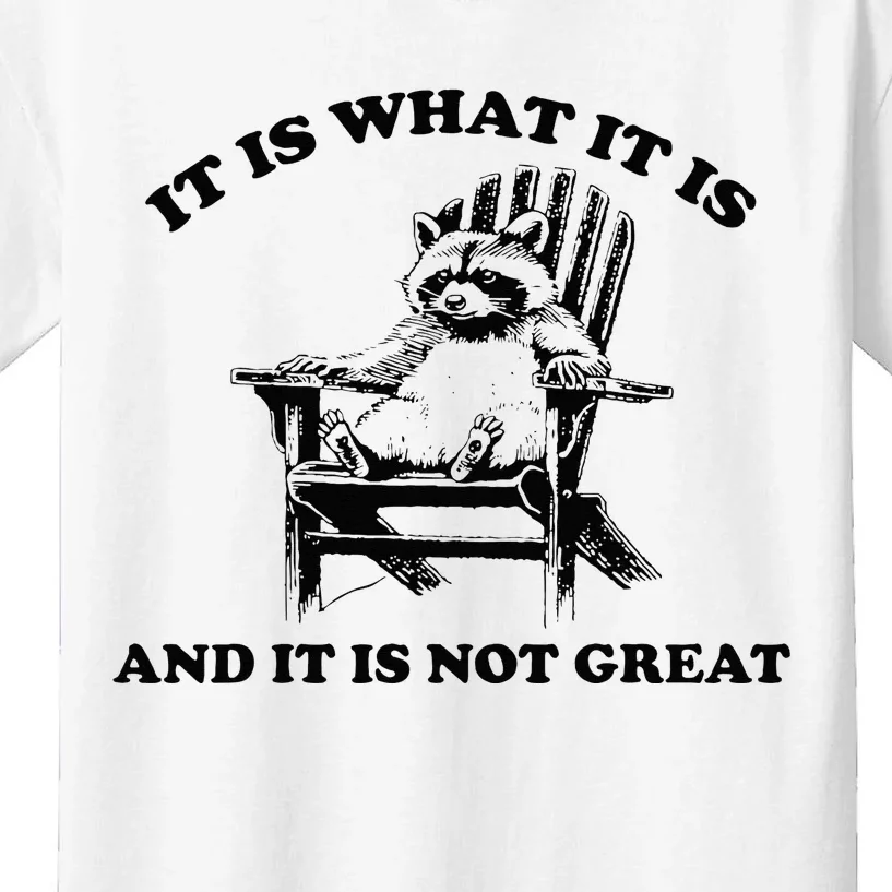 Raccoon It Is What It Is And It Is Not Great Kids T-Shirt