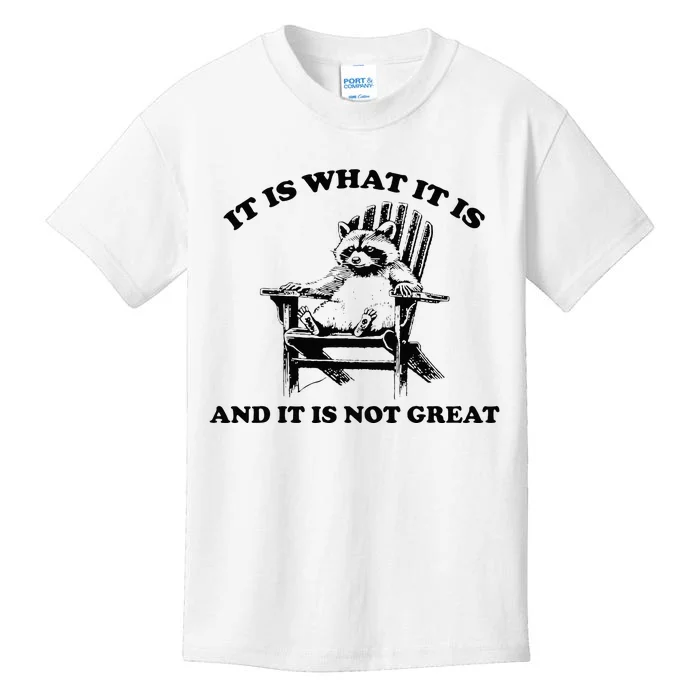 Raccoon It Is What It Is And It Is Not Great Kids T-Shirt