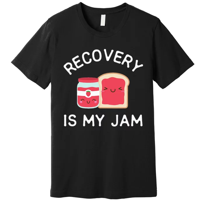 Recovery Is My Jam Funny Celebrate Clean And Sober Gifts Premium T-Shirt