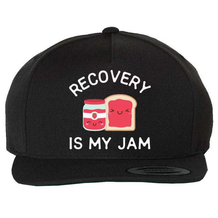 Recovery Is My Jam Funny Celebrate Clean And Sober Gifts Wool Snapback Cap