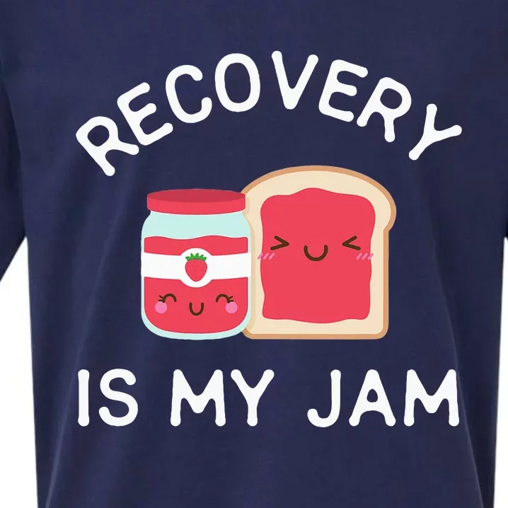 Recovery Is My Jam Funny Celebrate Clean And Sober Gifts Sueded Cloud Jersey T-Shirt