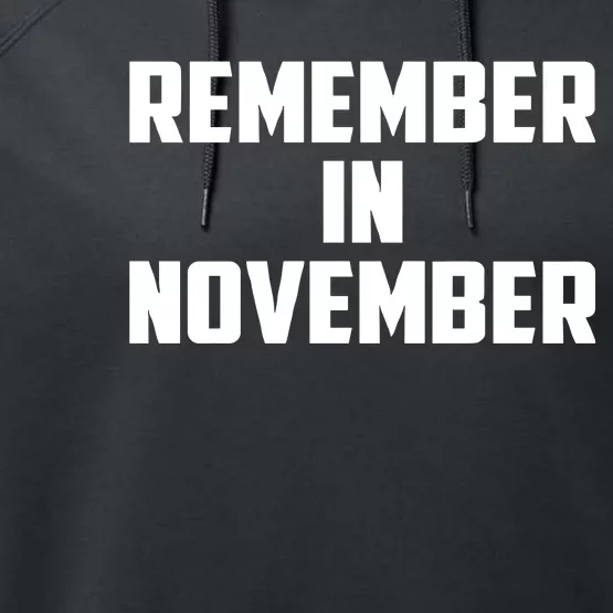 Remember In November Hurricane Helene Relief Efforts Performance Fleece Hoodie