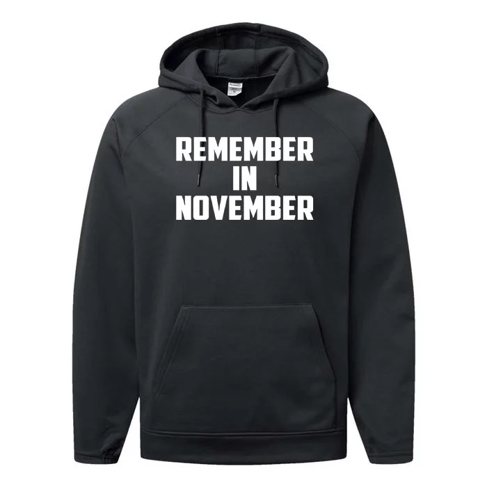 Remember In November Hurricane Helene Relief Efforts Performance Fleece Hoodie