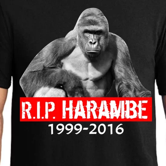 RIP Harambe Gorilla Cincinnati Zoo Pajama Set