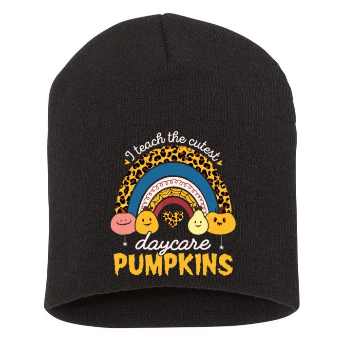 Rainbow I Teach The Cutest Pumpkin Halloween Daycare Teacher Short Acrylic Beanie