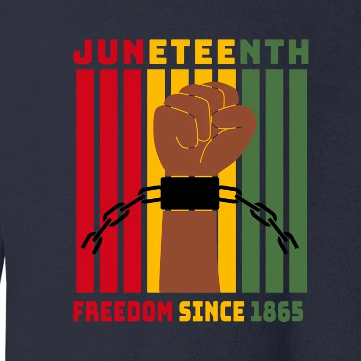 Retro Juneteenth Freedom Since 1865 Fist Afro America Gift Toddler Sweatshirt