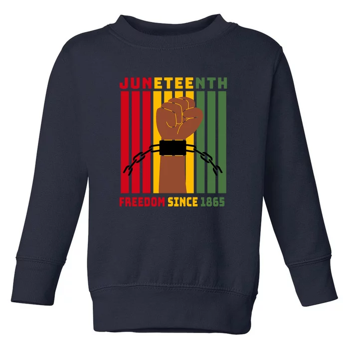 Retro Juneteenth Freedom Since 1865 Fist Afro America Gift Toddler Sweatshirt