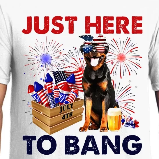 Rottweiler Just Here To Bang American Flag Firework Pajama Set