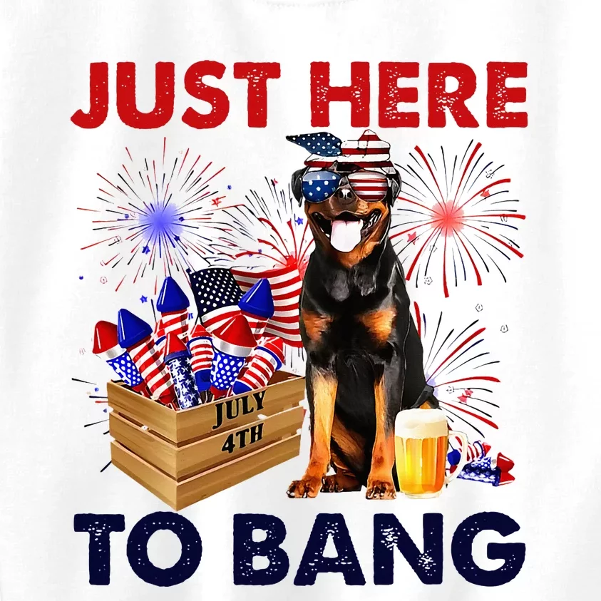 Rottweiler Just Here To Bang American Flag Firework Kids Sweatshirt