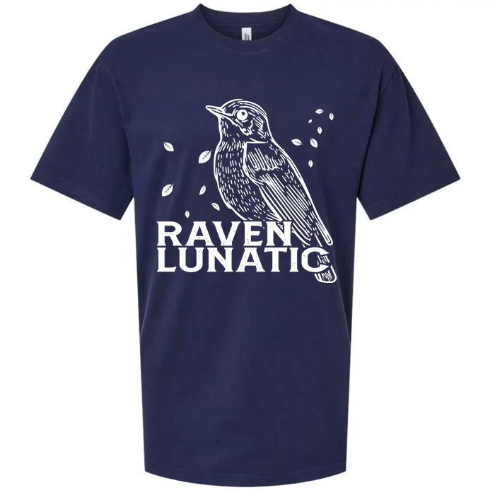 Raven Lunatic Sueded Cloud Jersey T-Shirt