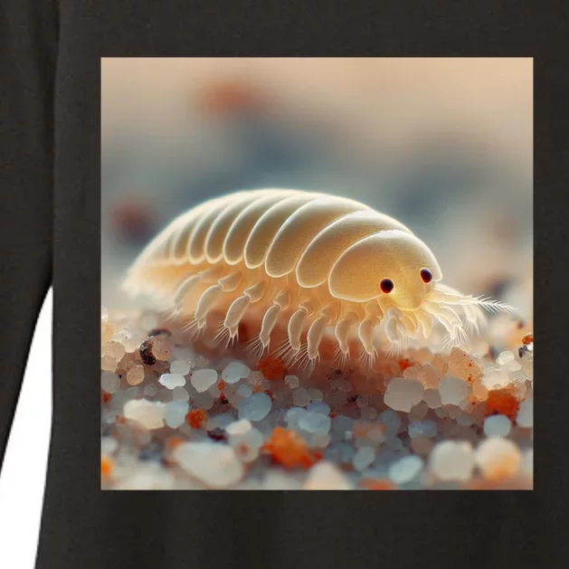 Really Like Sand Fleas Emerita Sand Fiddler Sand Crab Beach Cute Gift Womens CVC Long Sleeve Shirt