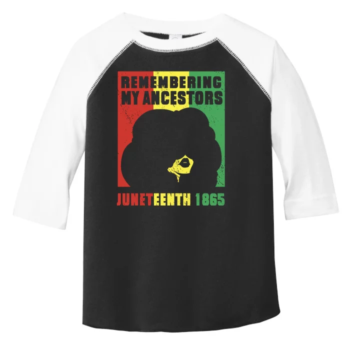 Remembering My Ancestors Juneteenth Black Freedom 1865 Toddler Fine Jersey T-Shirt