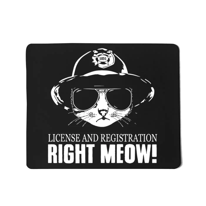 Right Meow Funny Mousepad