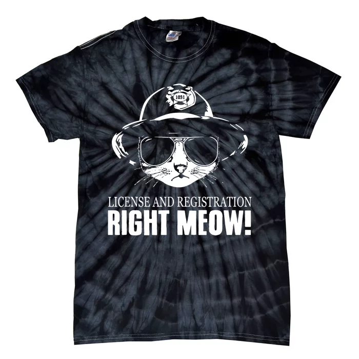 Right Meow Funny Tie-Dye T-Shirt