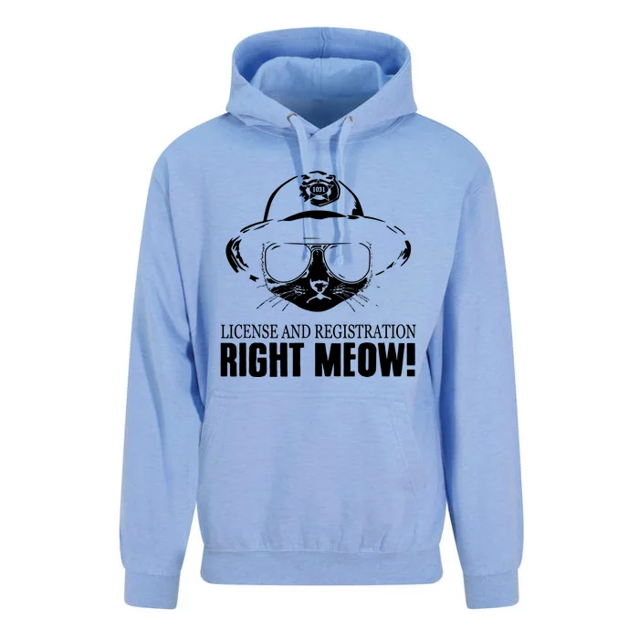 Right Meow Funny Unisex Surf Hoodie