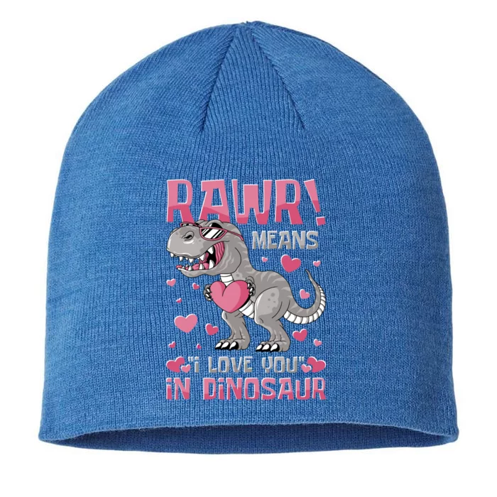 Rawr! Means I Love You In Dinosaur Valentines Day Meaningful Gift 8 1/2in Sustainable Knit Beanie