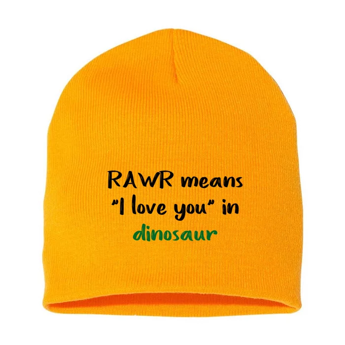 Rawr Means I Love You In Dinosaur Gift Short Acrylic Beanie