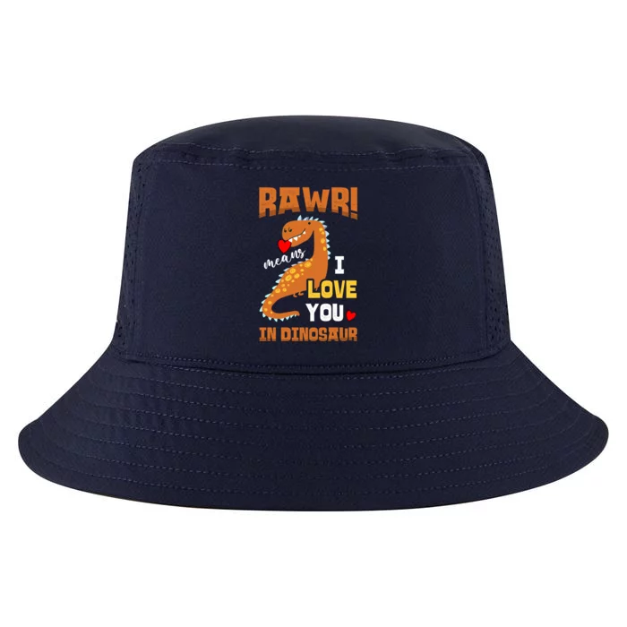 Rawr Means I Love You In Dinosaur Future Paleontologist Cute Gift Cool Comfort Performance Bucket Hat