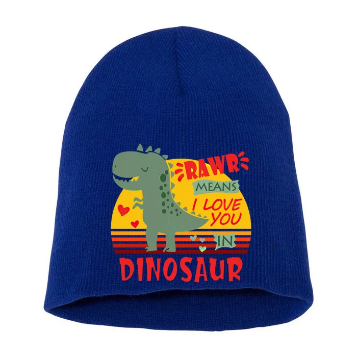 Rawr Means I Love You In Dinosaur T Rex Funny Valentines Cute Gift Short Acrylic Beanie