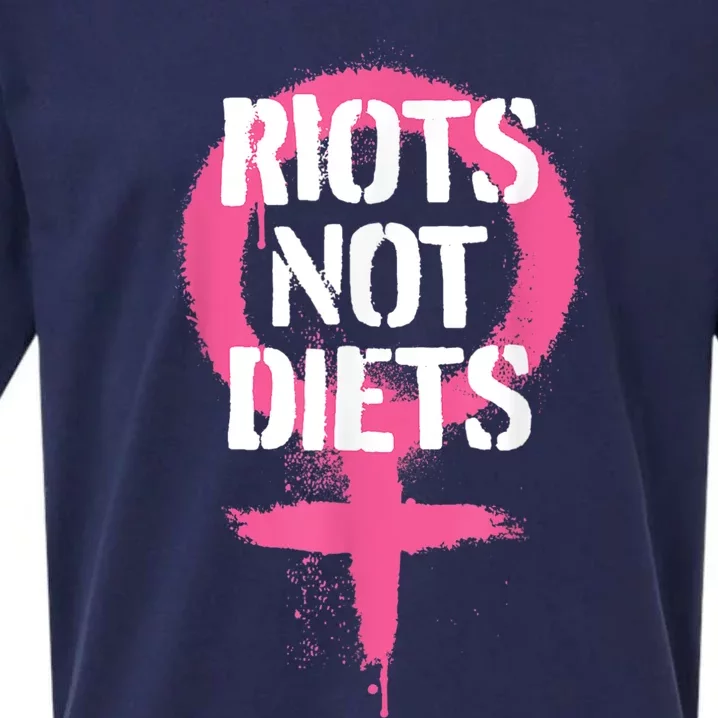 Riots Not Diets Feminist Punk Graphic Sueded Cloud Jersey T-Shirt