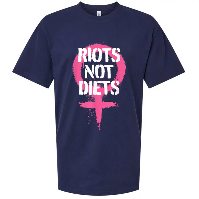 Riots Not Diets Feminist Punk Graphic Sueded Cloud Jersey T-Shirt