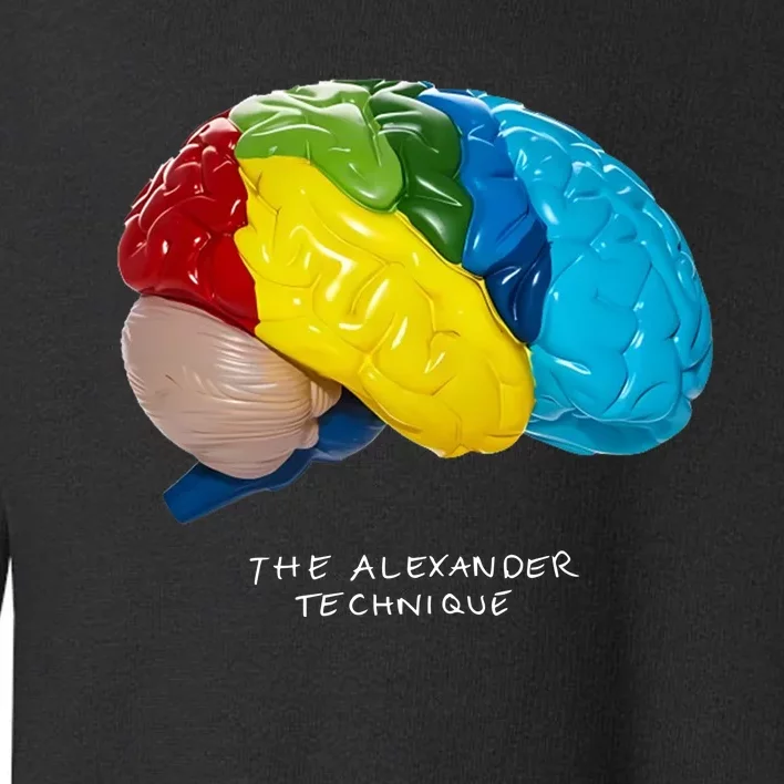 Rex Orange County The Alexander Technique Toddler Sweatshirt