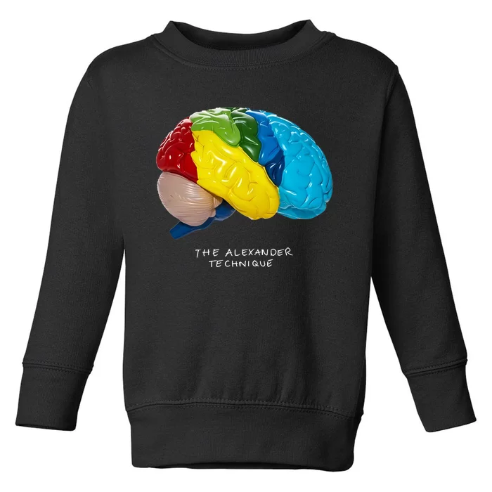 Rex Orange County The Alexander Technique Toddler Sweatshirt