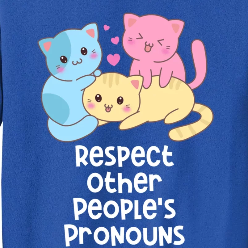 Respect Other Peoples Pronouns Pansexual Lgbtq Pan Pride Gift Tall Sweatshirt