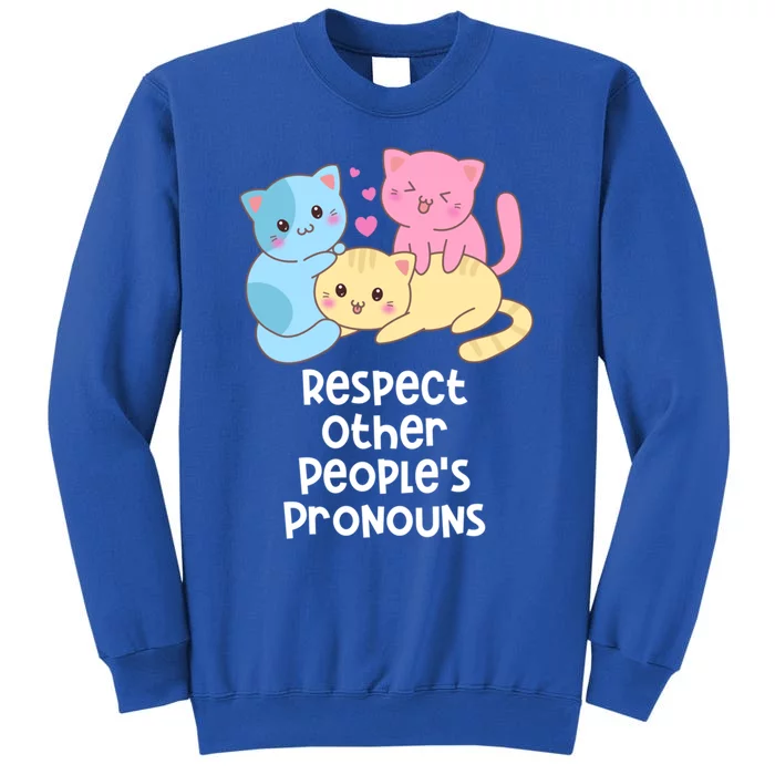 Respect Other Peoples Pronouns Pansexual Lgbtq Pan Pride Gift Tall Sweatshirt