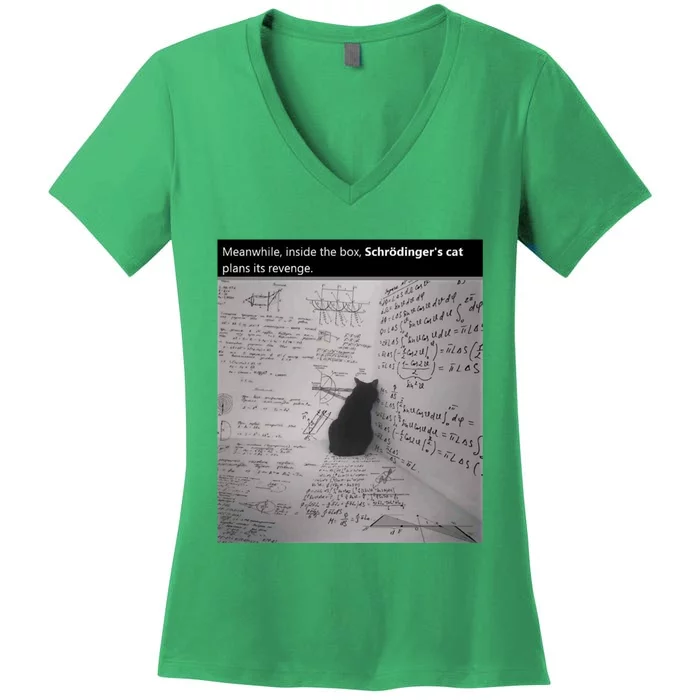 Revenge Of Schrodinger&X27;S Cat! Women's V-Neck T-Shirt