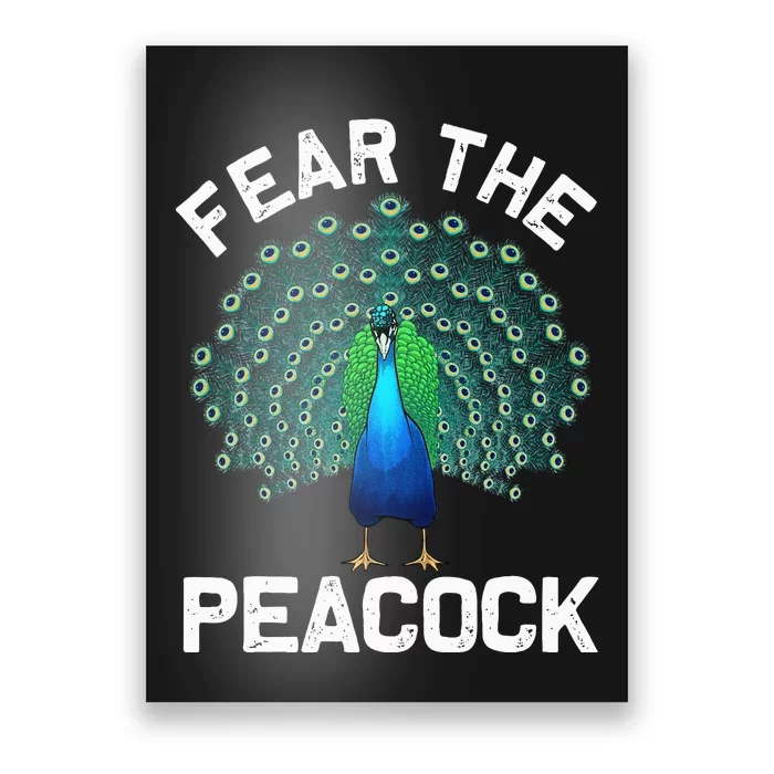 retro Peacock Art For  Colorful Peacock Bird Lover Poster