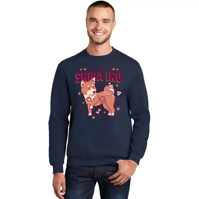 Red Panda Anatomy Tall Sweatshirt