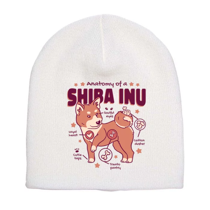 Red Panda Anatomy Short Acrylic Beanie