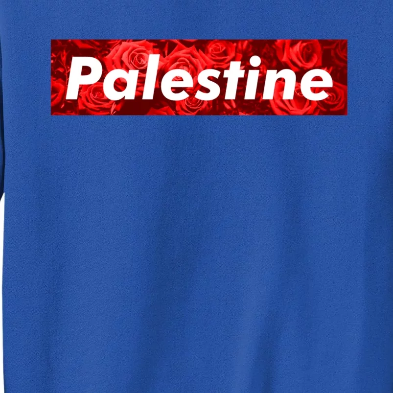 Red Palestine Free Palestine Free Gaza Flag Arabic Funny Gift Tall Sweatshirt