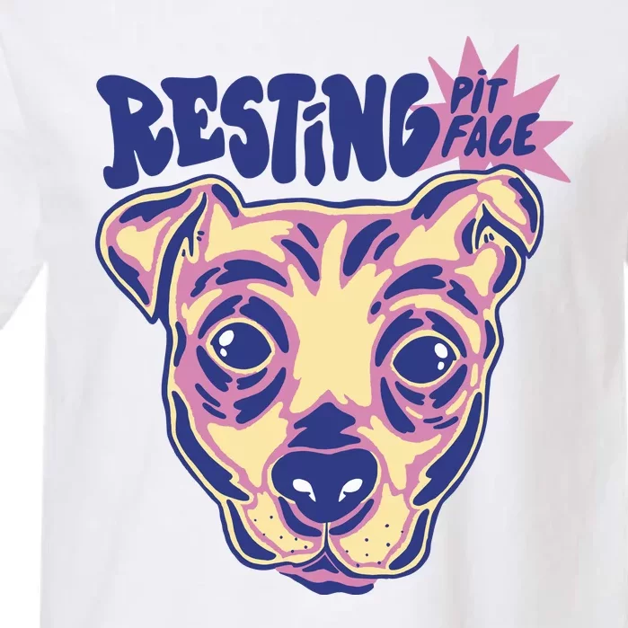 Resting Pit Face Funny Pit Bull Dog Garment-Dyed Heavyweight T-Shirt