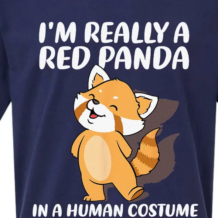 Red Panda Halloween Costume Red Pandas Sueded Cloud Jersey T-Shirt