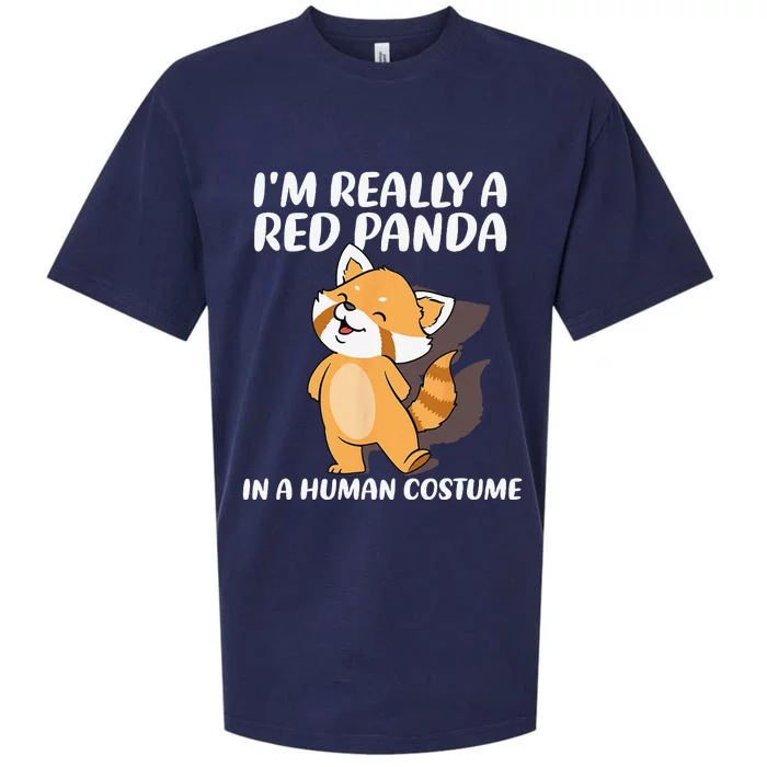 Red Panda Halloween Costume Red Pandas Sueded Cloud Jersey T-Shirt