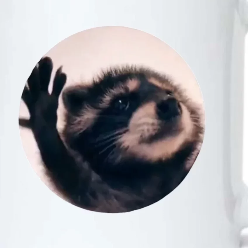 Raccoon Pedro Meme Vibing On Song Black Color Changing Mug