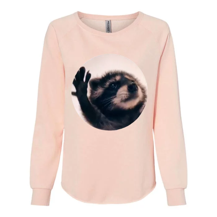 Raccoon Pedro Meme Vibing On Song Womens California Wash Sweatshirt