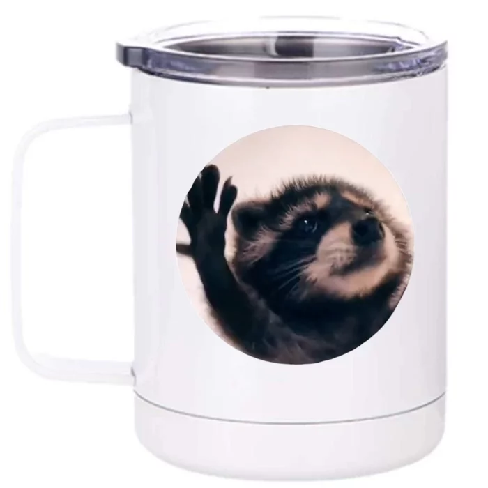 Raccoon Pedro Meme Vibing On Song Front & Back 12oz Stainless Steel Tumbler Cup