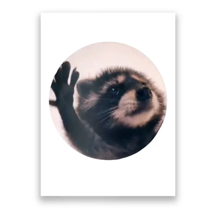 Raccoon Pedro Meme Vibing On Song Poster