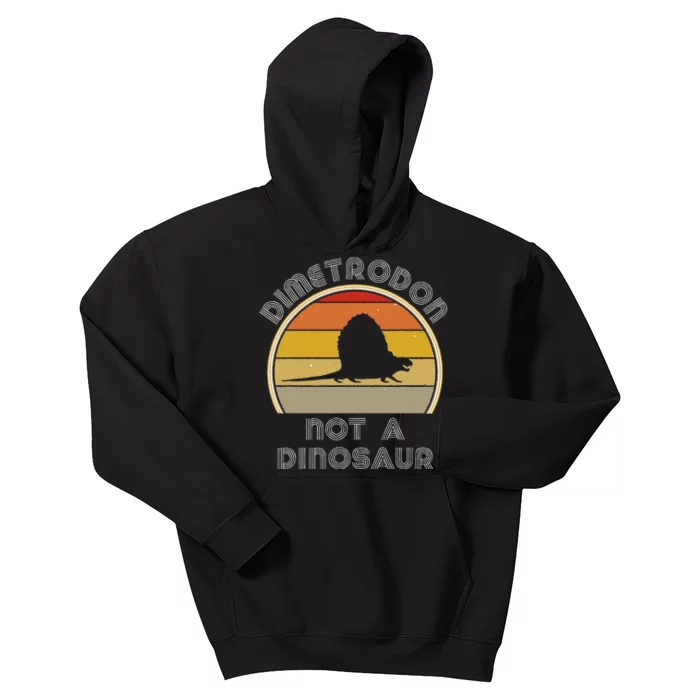 Retro Paleontology Stuff For Adults Dimetrodon Dinosaur Fact Kids Hoodie