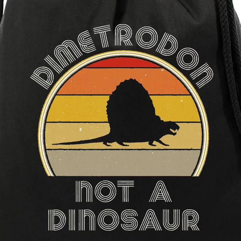 Retro Paleontology Stuff For Adults Dimetrodon Dinosaur Fact Drawstring Bag