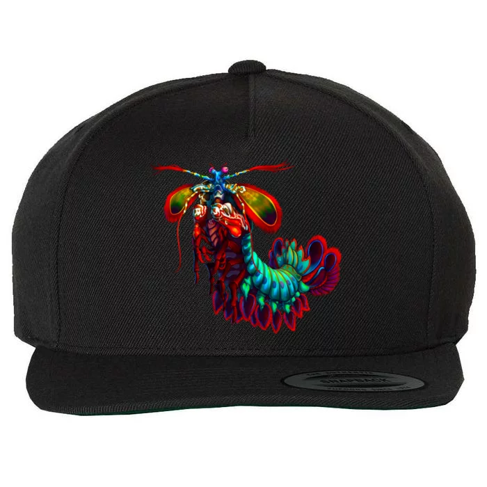 Rainbow Peacock Tis Shrimp Gift Wool Snapback Cap