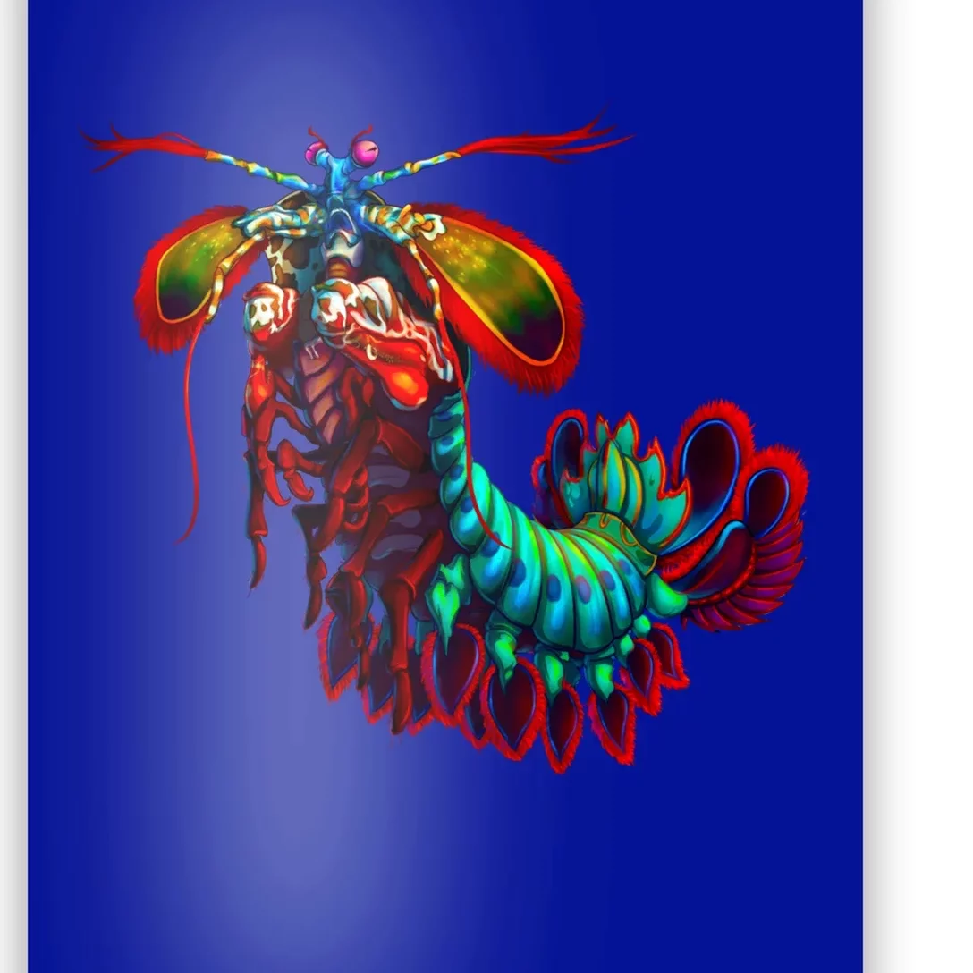 Rainbow Peacock Tis Shrimp Gift Poster