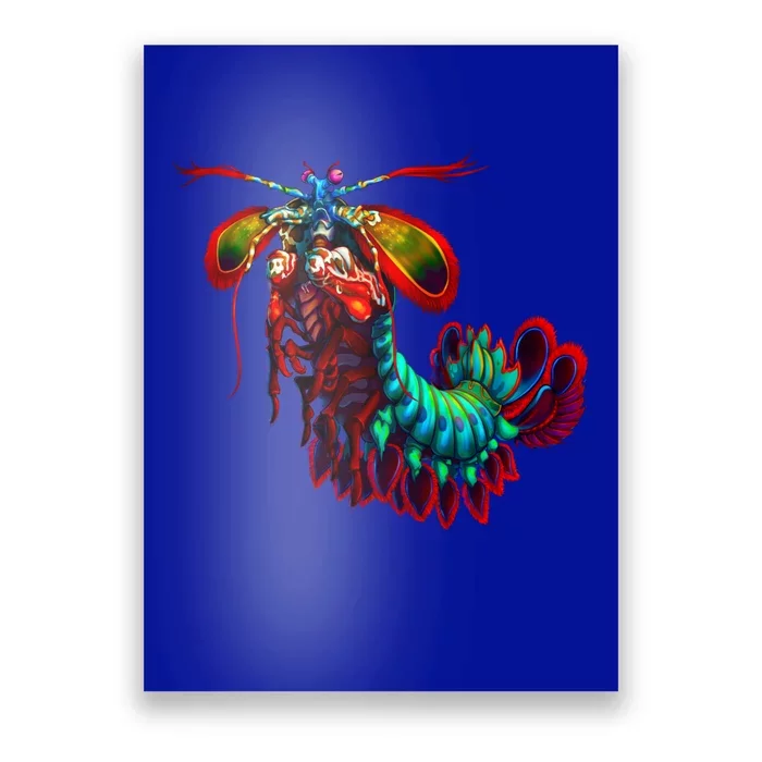 Rainbow Peacock Tis Shrimp Gift Poster