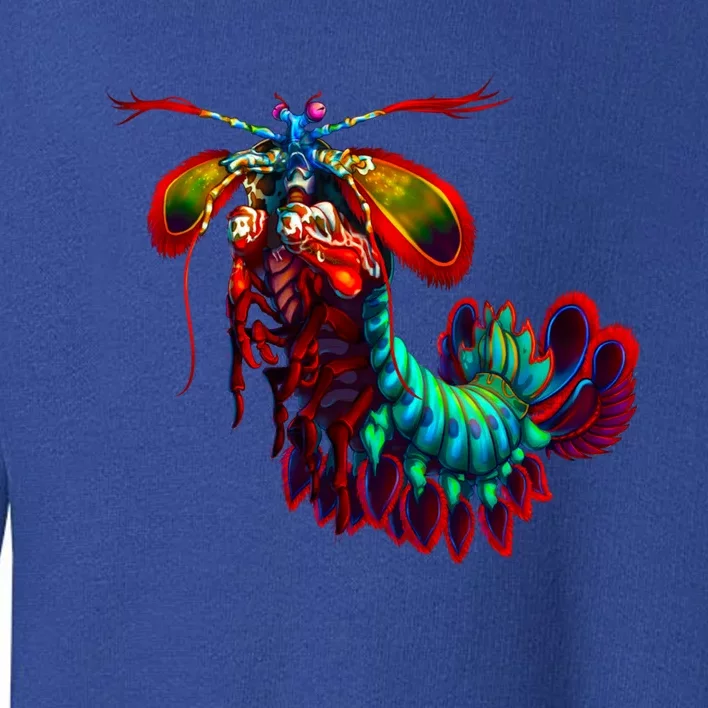 Rainbow Peacock Tis Shrimp Gift Toddler Sweatshirt