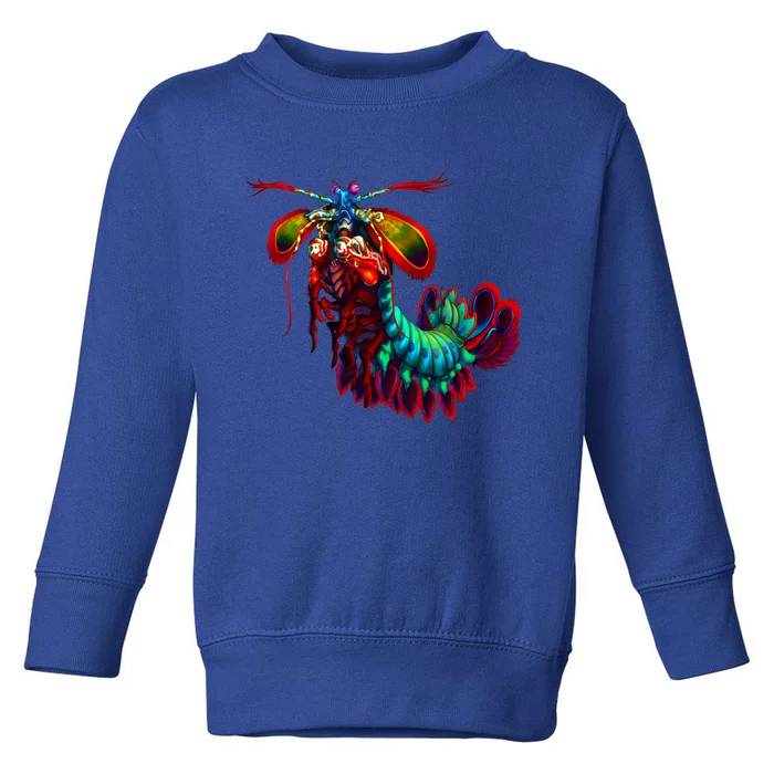 Rainbow Peacock Tis Shrimp Gift Toddler Sweatshirt