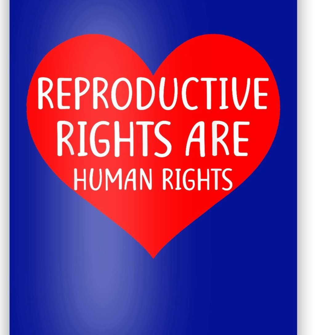 Reproductive Rights Are Human Rights Cool Gift Poster